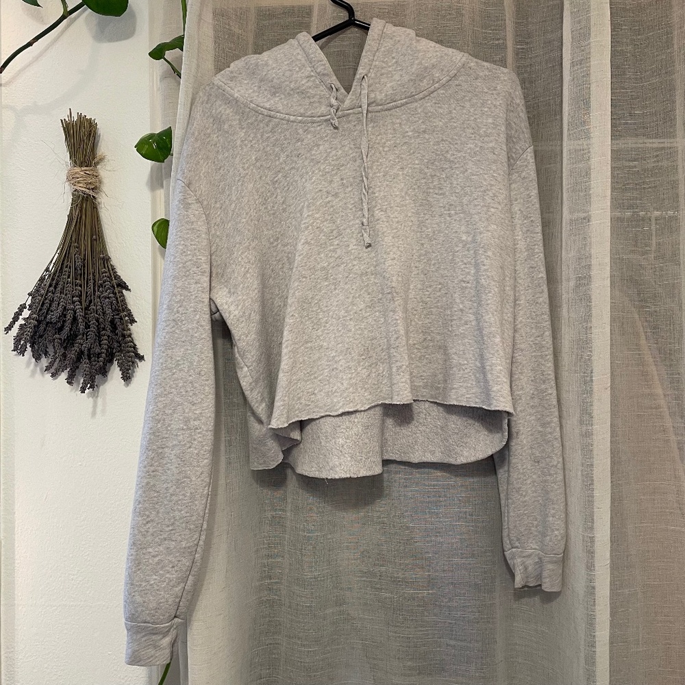 Cropped Brandy Melville Hoodie